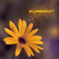 Blumenduft_Lazy Lizzard Gang