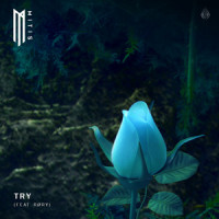 Try(feat. RØRY)_MitiS,RØRY