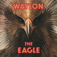 What Bothers Me Most_Waylon Jennings