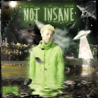NOT INSANE_雾都L4WUDU