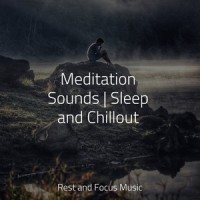 Enlightened Feelings_Zen,Academia de Música para Massagem e Relaxamento,Sleepy Times