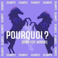 Pourquoi?(feat. Wan9xu)_Selwats,9xuSoLOVE