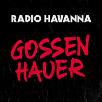 Du hast den Farbfilm vergessen_Radio Havanna,Dritte Wahl,Kurt Demmler,Michael Heubach