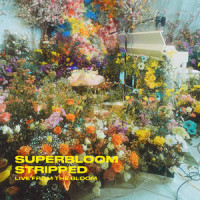 SUPERBLOOM(stripped)_MisterWives