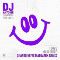 I Love Your Smile_DJ Antoine,Dizkodude,Sibbyl