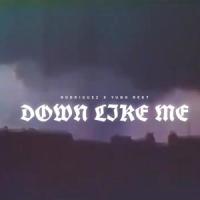 Down Like Me (feat. Yung Rekt)_Rodriguez,Yung Rekt