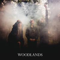 On The Run_The Woodlands
