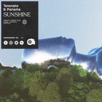 Sunshine_Tensnake,Panama