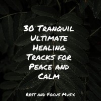 Easy Breeze_Deep Sleep,Guided Meditation,Meditação Maestro