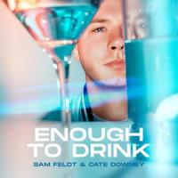 Enough To Drink_Sam Feldt,Cate Downey