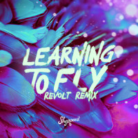 Learning To Fly_Sheppard