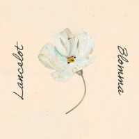 Blomma_Lancelot
