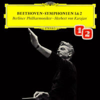 Andante Cantabile Con Moto_Berliner Philharmoniker