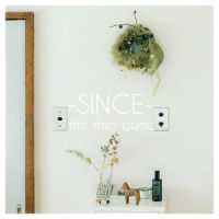 シーサイドテイル_the shes gone