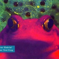 Kiss That Frog_Peter Gabriel