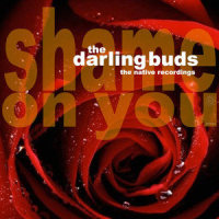 Valentine_The Darling Buds