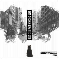 等我回家的猫_螺丝刀RoseDoggy