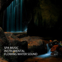 Top Roof Music_Spa Music Relaxation,White Noise,Nature Sounds Nature Music