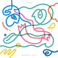 Surfing_Scrubb,Plastic Plastic