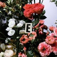 还是没有_王澳楠EVE