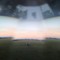 Dissolve_gorgeous bully,Thomas Crang