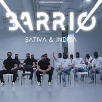 Barrio_Sativa,Indica