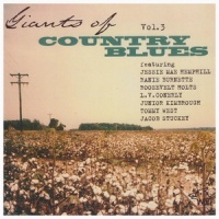 Please Don't Leave Me_Junior Kimbrough