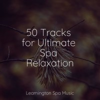 Rainforest Drops_Exam Study Classical Music Orchestra,Spa,Rain Drops for Sleep