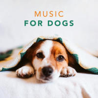 Music for Dogs - Relaxing Songs for Dogs and Puppies, Pt. 15_Sleepy Dogs