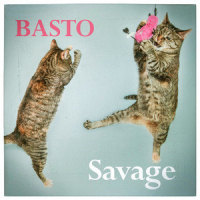 Savage_Basto