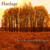 Beautiful Day_Hardage,Jocelyn Brown