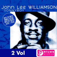 Beauty Parlor_Sonny Boy Williamson,Big Joe Williams
