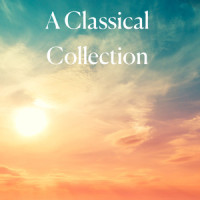 Sonatina No. 1 in C Major, Op. 36 - II. Andante_郎朗
