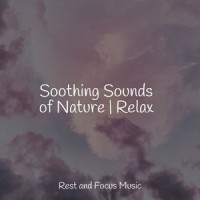 Peaceful Savannah Stroll_White Noise Baby Sleep,Shakuhachi Sakano,Spa