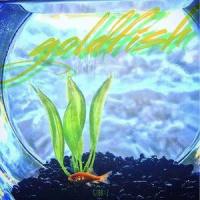 金鱼_Gibb-Z