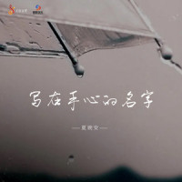 写在手心的名字_夏婉安