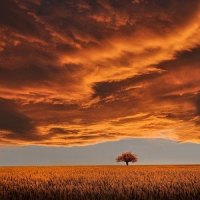Hidden Flows_Sleepy Times,Chillout Lounge,Yoga Workout Music