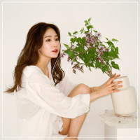 Lilac_it's