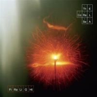 Seconds Into Sound_The Coral Sea