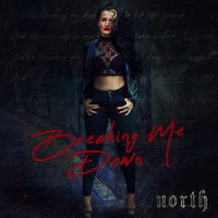 Breaking Me Down_NORTH