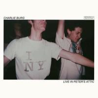 Instead of My Room_Charlie Burg