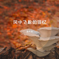 风中飞散的回忆_洛天依