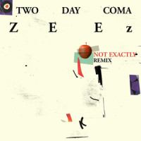 Not Exactly_Two Day Coma,Zeez,Tom Harris