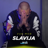 Slavija_VUK MOB