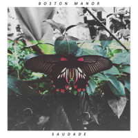 Asleep at the Wheel_Boston Manor,Not Documented