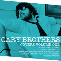 Lessons Learned (feat. Rachael Yamagata)_Cary Brothers
