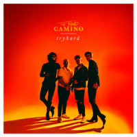 Farsighted_The Band CAMINO