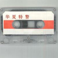 无言的歌_毛宁