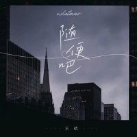 随便吧_王晴