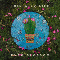 If It's Cool With You, I'm Cool With Being Through_This Wild Life